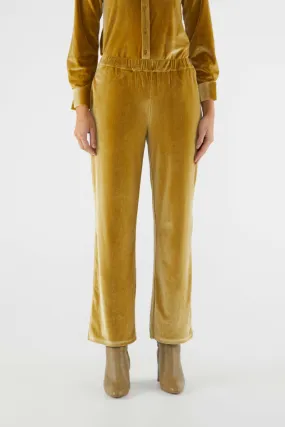 Velvet Stretch Pants - Gold