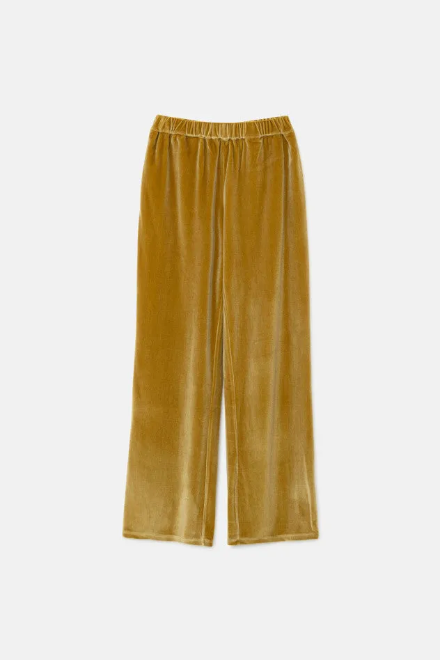 Velvet Stretch Pants - Gold